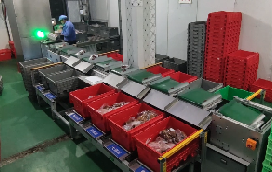 步科助力蘭州首個“中央廚房”分揀中心落成，賦能食品分揀新模式